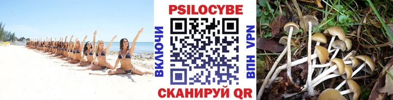 Псилоцибиновые грибы мицелий  где найти   Туринск 